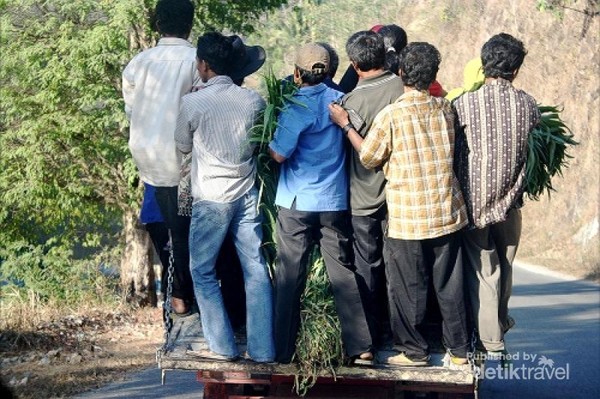 Saat traveling ke pedesaan, seringkali mobil bak pengangkut sayur jadi alat transportasi semua orang. Traveler pun kadang suka ikut menebeng. Tapi kalau sampai overload begini, bisa bahaya. Kalau jatuh, bisa celaka. Saat traveling ke pedesaan, seringkali mobil bak pengangkut sayur jadi alat transportasi semua orang. Traveler pun kadang suka ikut menebeng. Tapi kalau sampai overload begini, bisa bahaya. Kalau jatuh, bisa celaka.