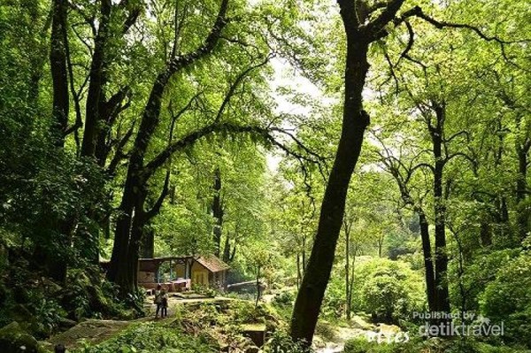 Cantik Dan Segarnya Air Terjun Kakek Bodo Di Pasuruan