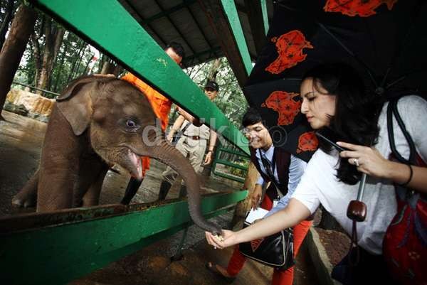 Banyak Anak Terlepas dari Orang Tua di Kebon Binatang Ragunan