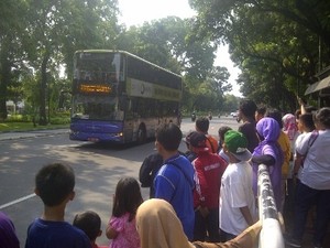 Penumpang Meningkat, Bus City Tour Tidak Berhenti di Tiap Shelter