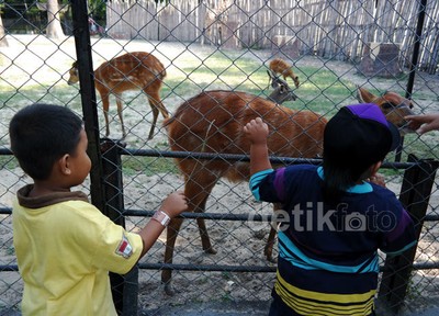 Lebaran di KBS, Warga Liburan & Penjaga Satwa Tetap Bertugas