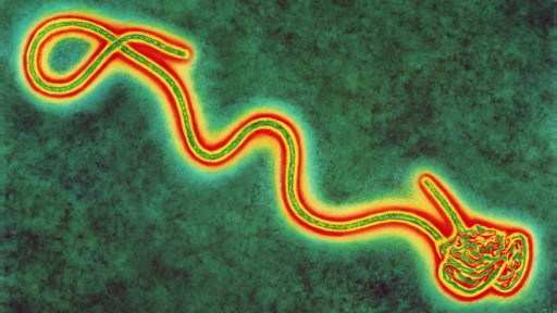 Inggris Siaga Menghadapi Ebola