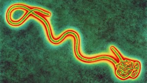 Inggris Siaga Menghadapi Ebola
