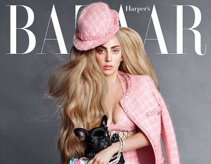 Lady Gaga Ajak Anjingnya Jadi Model High-Fashion Untuk Harpers Bazaar
