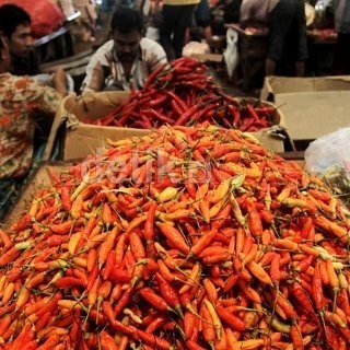 Sempat Anjlok, Harga Cabai Rawit Mulai Melesat Naik