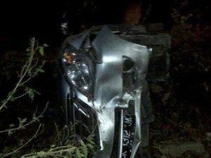 Masuk ke Jurang Sedalam 5 Meter di Baluran, 4 Penumpang Avanza Selamat