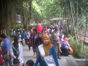 Libur Lebaran, Bonbin Yogya Diserbu 30 ribuan Pengunjung Per Hari