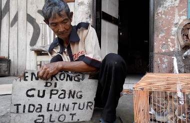 Hidup Mengalir Engkong Supri Yang Tak Luntur Seperti Corak Ikan Cupang