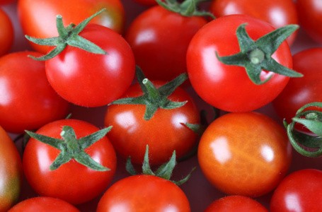 Turunkan Kadar Kolesterol dengan Konsumsi Tomat dan Oatmeal (1)