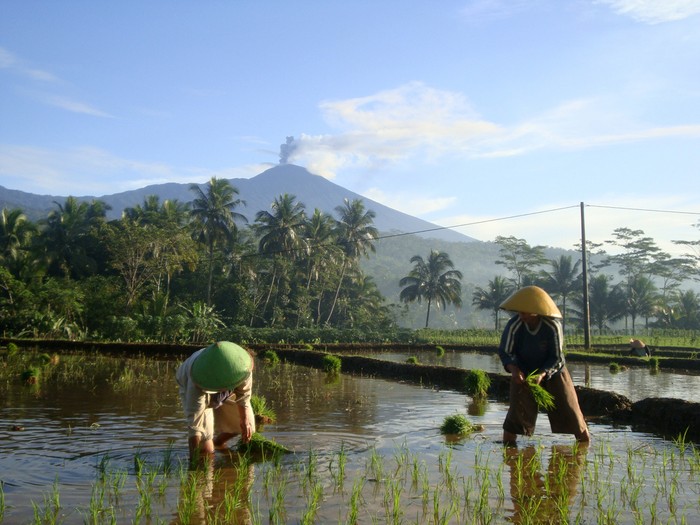 Gunung Slamet Lontarkan Lava Pijar, Status Tetap Waspada