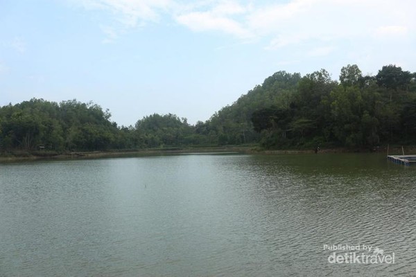 Guyang Warak Telaga Cantik Saksi Bisu Kehidupan Badak Purba