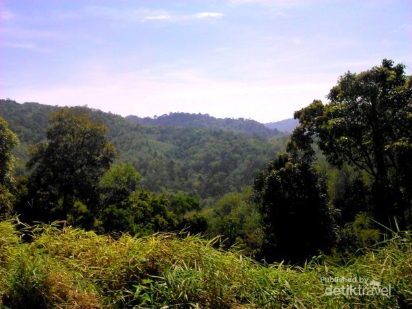 Pagaralam yang Sejuk Hijau dan Cantik