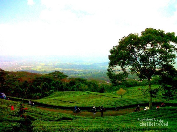 Pagaralam yang Sejuk Hijau dan Cantik