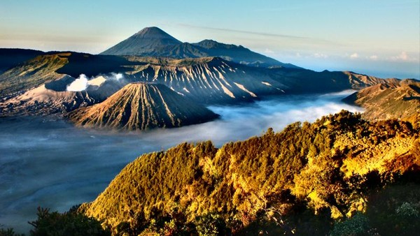 Pagi Hari di Gunung Bromo yang Cantik dan Eksotis