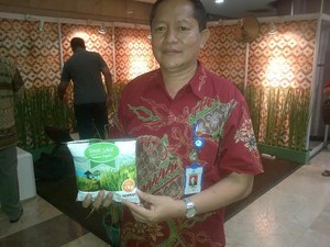 Ilmuan RI Sukses Bikin Beras Nuklir Kualitas Premium