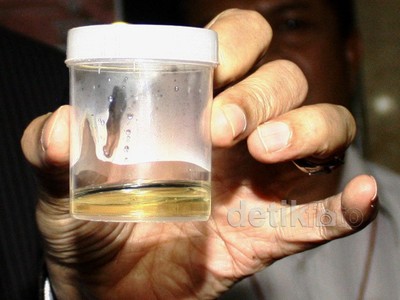 Pimpinan dan Karyawan KPK Tes Urine