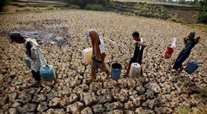 8 Daerah di Aceh Alami Kekeringan, 62.737 Ha Lahan Pertanian Gersang