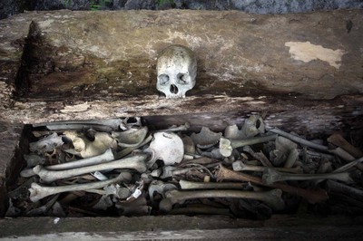 Berani Melihat Kuburan Ala Toraja dari Dekat?