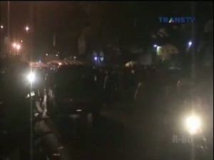 3 Monyet Misterius Lepas, Pemilik Monyet Konon akan Beri Imbalan Rp 10 Juta per Ekor
