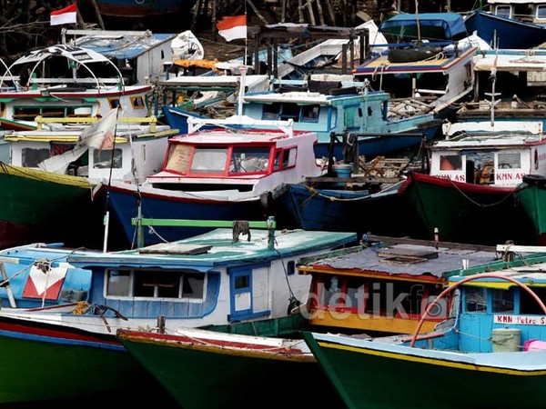 Kampung Manggar, Pemasok Ikan Segar