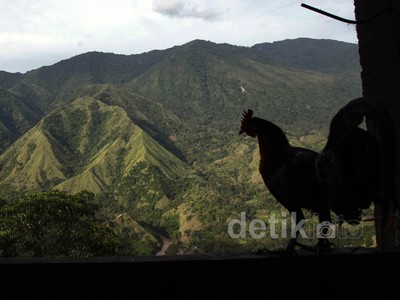 Rehat Sejenak di Bukit Nona