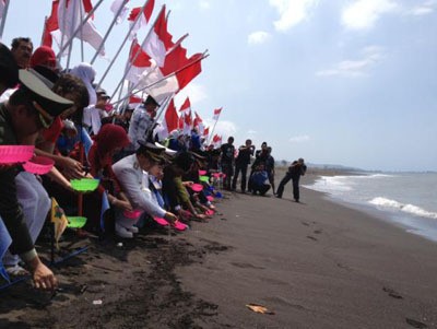 Ketika Bupati Banyuwangi Ingin Anak Penyu juga Hidup Merdeka