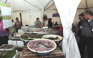 Meriahkan Hari Ikan Nasional Lotte Mart Kelapa Gading Hadirkan Bazar Ikan