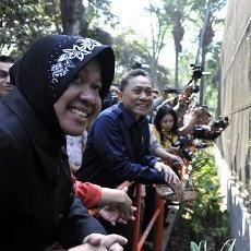 Izin Konservasi Kelola KBS Turun, Walikota Risma: Aku Lego