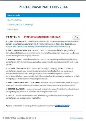 Situs Pendaftaran CPNS Mampu Terima 3 Juta Lamaran Per Hari