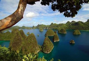 Kisah Menarik Pembangunan Tangga ke Puncak Pianemo Raja Ampat