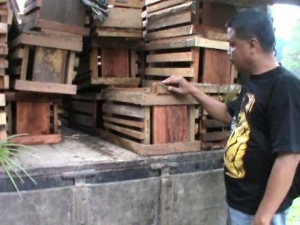 55 Ekor Landak Tangkapan Polisi Diserahkan ke BBKSDA Sumut