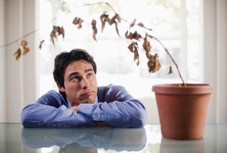 Kurang Asupan Vitamin D Bisa Bikin Pria Alami Disfungsi Ereksi Lho