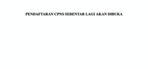 CPNS Online Sering Down, Apa yang Salah?
