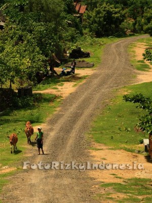 Afrika? Bukan Ini Jalan di Lombok