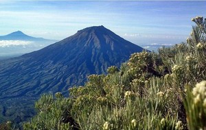 Perjuangan Berat Berdiri di Puncak Gunung Sumbing & Sindoro
