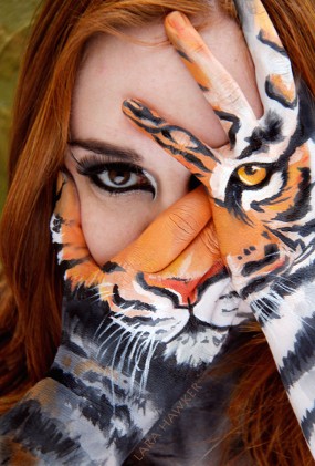 52+ Gambar Wajah Harimau Marah HD 52+ Gambar Wajah Harimau Marah HD