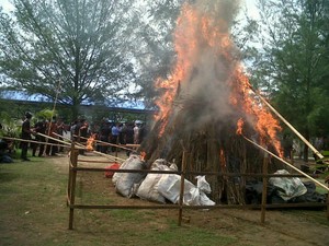 Polda Aceh Musnahkan 2 Ton Ganja dan 1 Kg Sabu