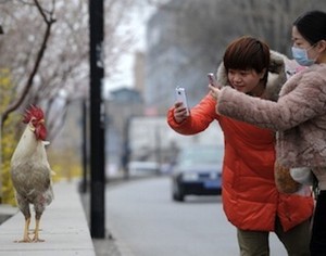 Aplikasi China Tak Ingin Aji Mumpung