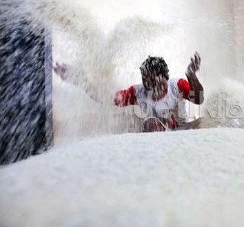 Tiga Daerah Ini Tolak Beras Miskin