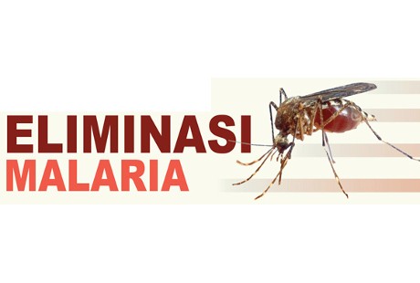 Ancaman Wabah Malaria Saat Perantau Merindukan Kampung Halaman
