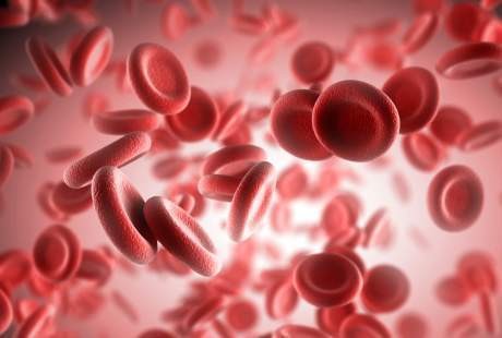 Anak Berisiko Terlahir Hemofilia? Begini Cara Memperkirakannya