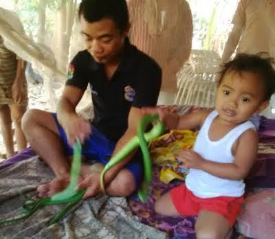Balita 3 Tahun Ini Asyik Bermain dengan Ular