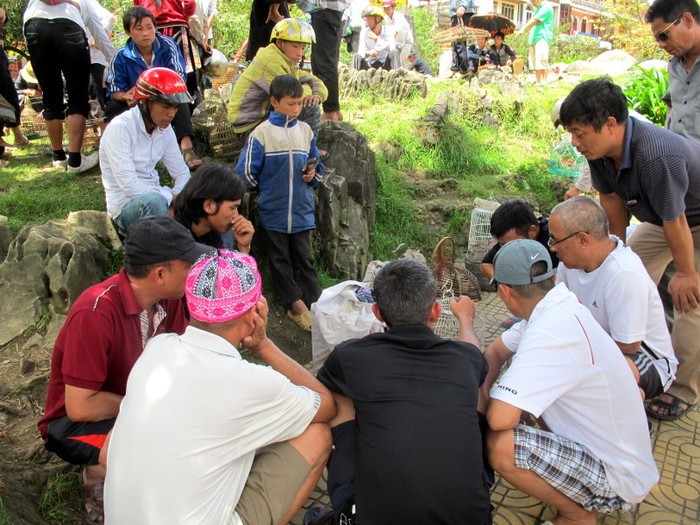 Ternyata, Orang Vietnam Suka Main Burung