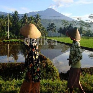 RI Butuh Ketahanan Pangan, Tapi Petani dan Nelayan Masih Miskin