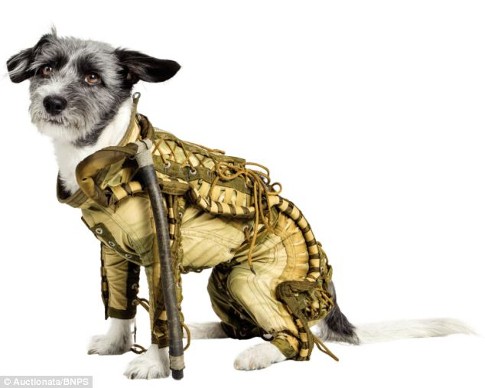 Dilelang! Baju Anjing yang Pernah ke Luar Angkasa