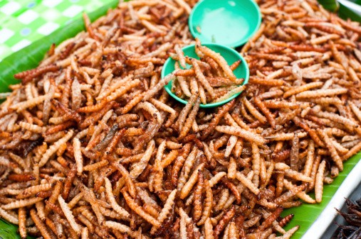 Jangkrik dan Ulat Goreng, Camilan Enak dari Thailand