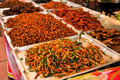 7 Serangga Ini Akan Jadi Primadona Makanan di Masa Depan
