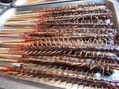 Kriuk-kriuk Gurih Sate Semut dan Kaki Seribu dari Tiongkok