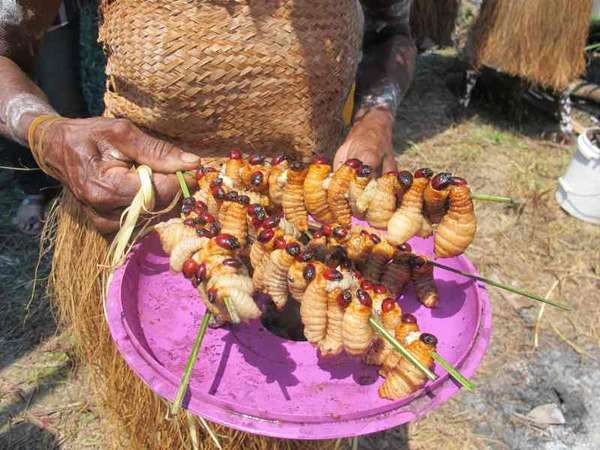 Inilah 4 Jenis Serangga yang Paling Populer Dikonsumsi di Indonesia