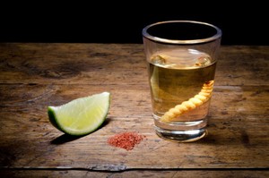 Casu Marzu dan Mezcal, Sajian Ulat Legendaris dan Bergengsi